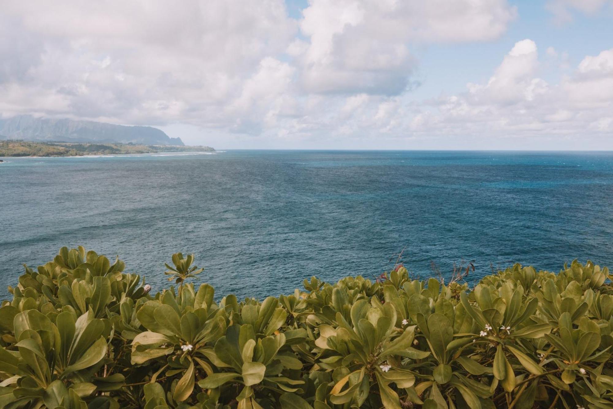 Plantation Hale Suites Kapa'a Buitenkant foto